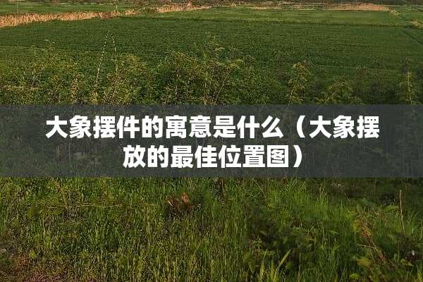 大象摆件的寓意是什么（大象摆放的最佳位置图）
