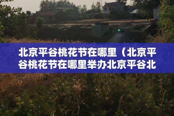 北京平谷桃花节在哪里（北京平谷桃花节在哪里举办北京平谷北官有集市吗）