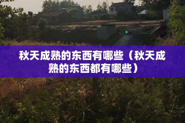 秋天成熟的东西有哪些（秋天成熟的东西都有哪些）