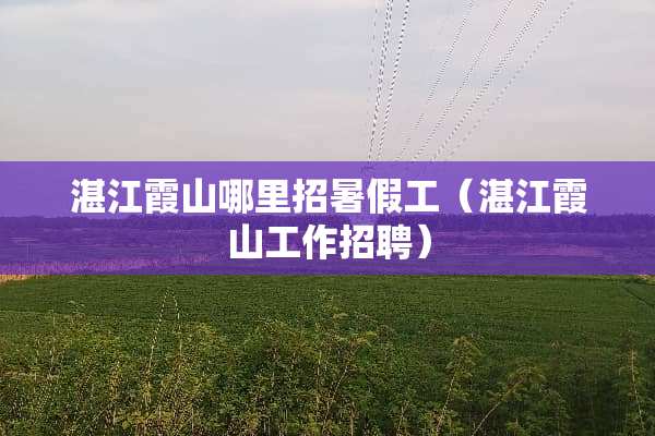 湛江霞山哪里招暑假工（湛江霞山工作招聘）
