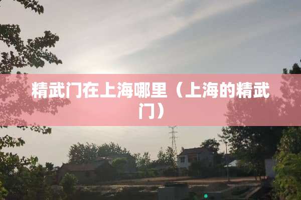 精武门在上海哪里（上海的精武门）
