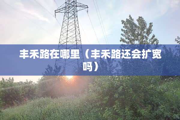 丰禾路在哪里（丰禾路还会扩宽吗）