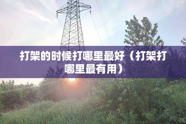 打架的时候打哪里最好（打架打哪里最有用）