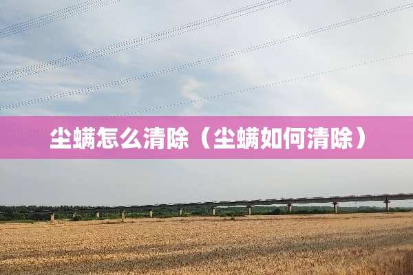 尘螨怎么清除（尘螨如何清除）