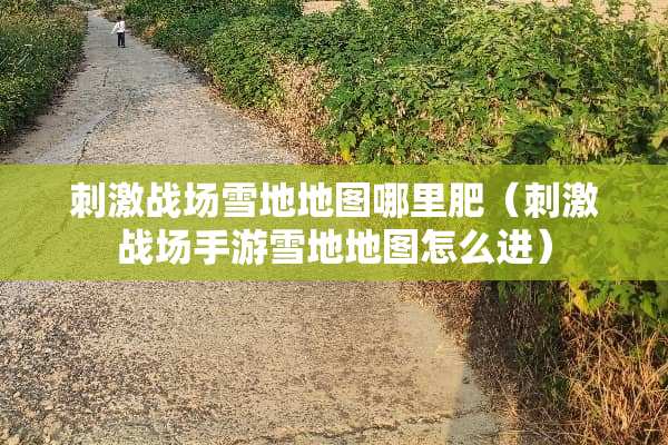 **战场雪地地图哪里肥（**战场手游雪地地图怎么进）