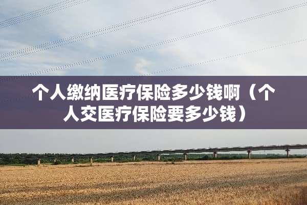 个人缴纳医疗保险多少钱啊（个人交医疗保险要多少钱）