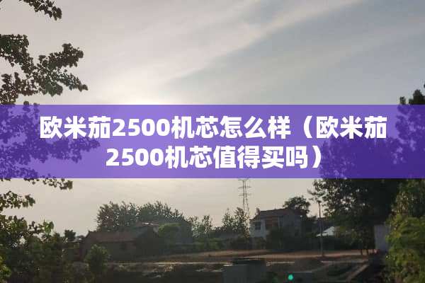 欧米茄2500机芯怎么样（欧米茄2500机芯值得买吗）