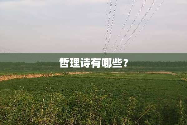 哲理诗有哪些？
