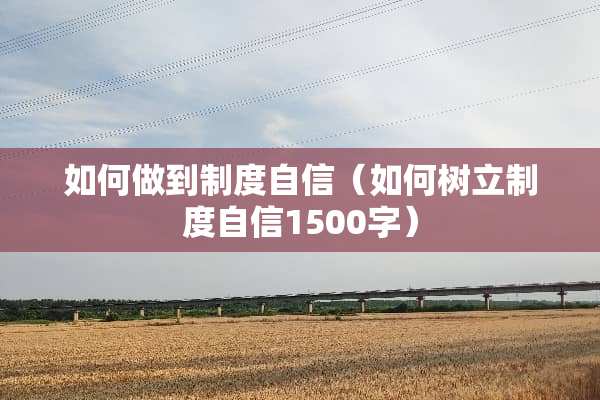 如何做到制度自信（如何树立制度自信1500字）