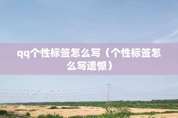 qq个性标签怎么写（个性标签怎么写遗憾）