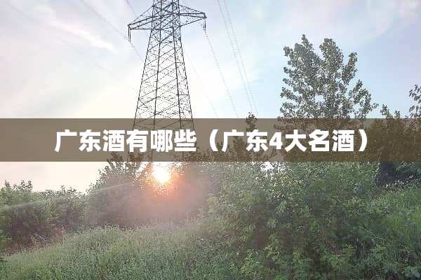 广东酒有哪些（广东4大名酒）