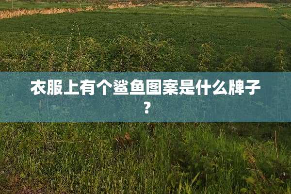 衣服上有个鲨鱼图案是什么牌子？
