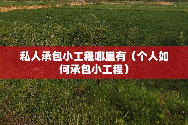 私人承包小工程哪里有（个人如何承包小工程）
