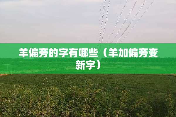 羊偏旁的字有哪些（羊加偏旁变新字）