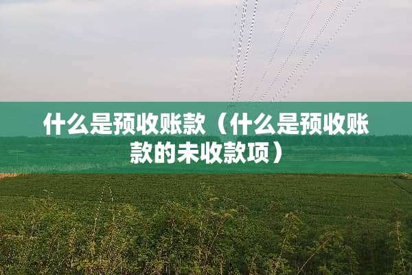 什么是预收账款（什么是预收账款的未收款项）