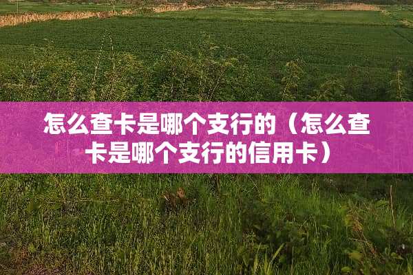 怎么查卡是哪个支行的（怎么查卡是哪个支行的***）