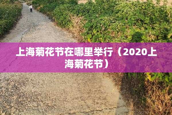 上海菊花节在哪里举行（2020上海菊花节）