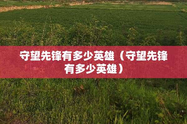 守望先锋有多少英雄（守望先锋有多少英雄）