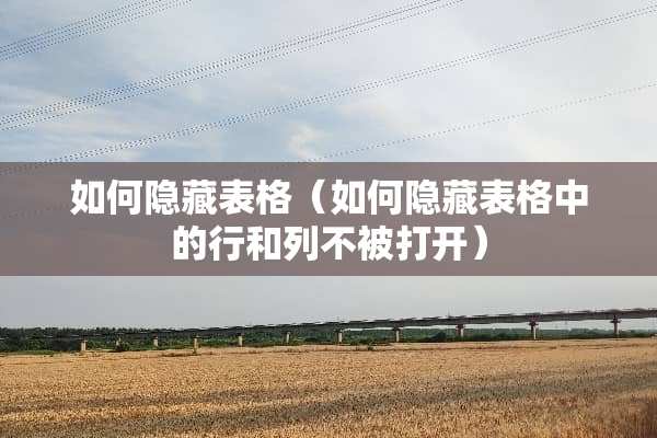 如何隐藏表格（如何隐藏表格中的行和列不被打开）