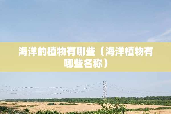 海洋的植物有哪些（海洋植物有哪些名称）