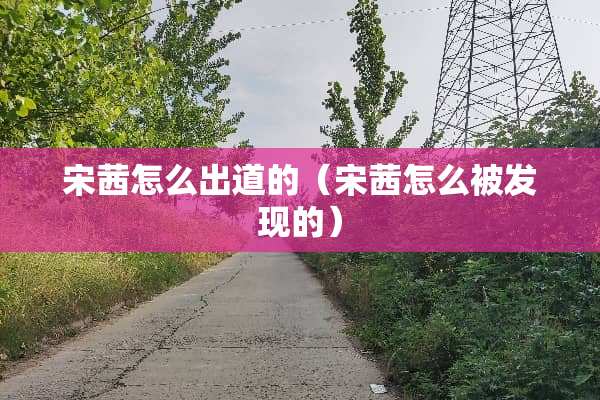 宋茜怎么出道的（宋茜怎么被发现的）