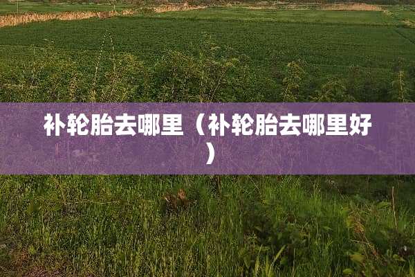 补轮胎去哪里（补轮胎去哪里好）