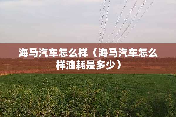 海马汽车怎么样（海马汽车怎么样油耗是多少）