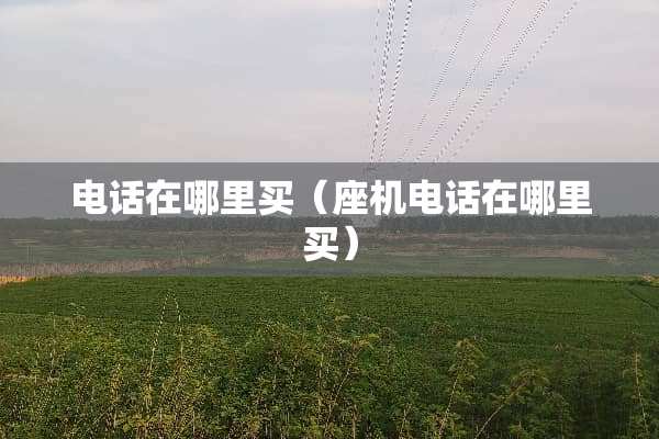 电话在哪里买（座机电话在哪里买）