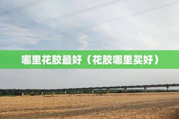 哪里花胶最好（花胶哪里买好）