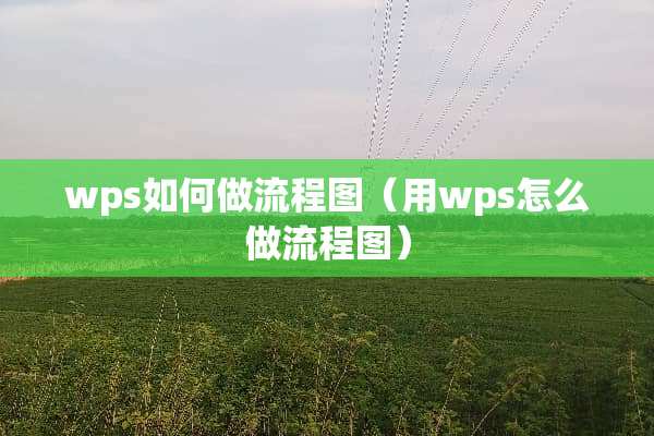 wps如何做流程图（用wps怎么做流程图）