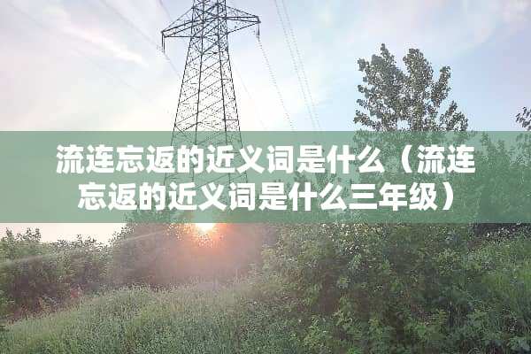 流连忘返的近义词是什么（流连忘返的近义词是什么三年级）