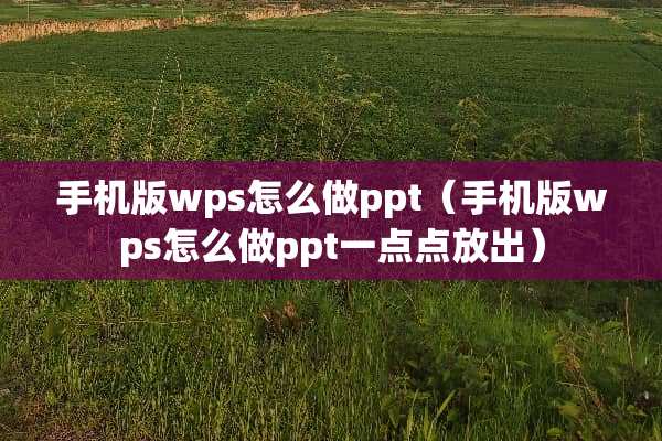 手机版wps怎么做ppt（手机版wps怎么做ppt一点点放出）
