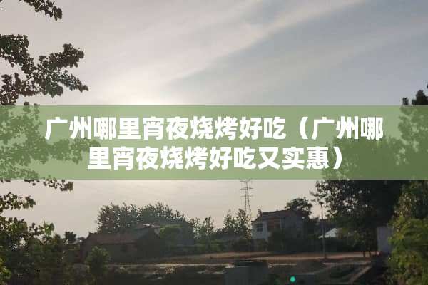 广州哪里宵夜烧烤好吃（广州哪里宵夜烧烤好吃又实惠）