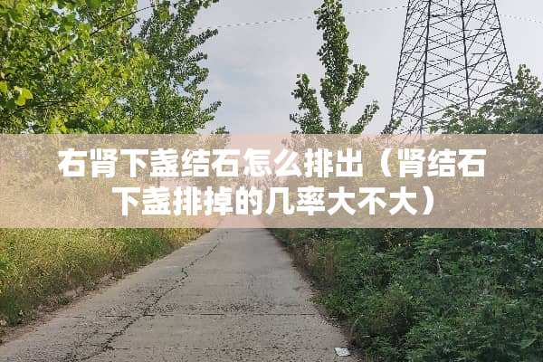 右肾下盏结石怎么排出（肾结石下盏排掉的几率大不大）