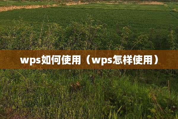 wps如何使用（wps怎样使用）