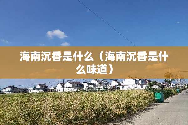 海南沉香是什么（海南沉香是什么味道）