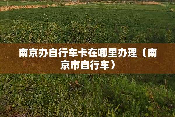 南京办自行车卡在哪里办理（南京市自行车）