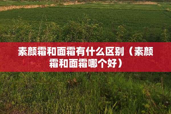 素颜霜和面霜有什么区别（素颜霜和面霜哪个好）