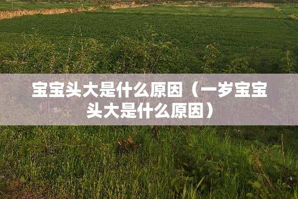 宝宝头大是什么原因（一岁宝宝头大是什么原因）