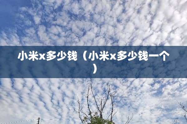 小米x多少钱（小米x多少钱一个）