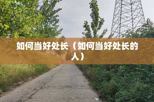 如何当好处长（如何当好处长的人）