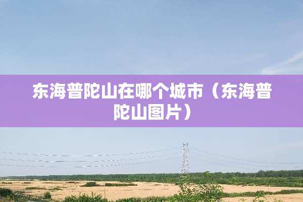 东海普陀山在哪个城市（东海普陀山图片）