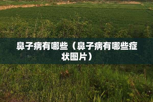 鼻子病有哪些（鼻子病有哪些症状图片）