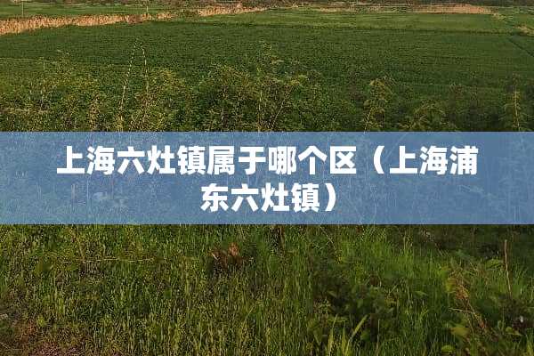 上海六灶镇属于哪个区（上海浦东六灶镇）