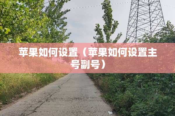 苹果如何设置（苹果如何设置主号副号）