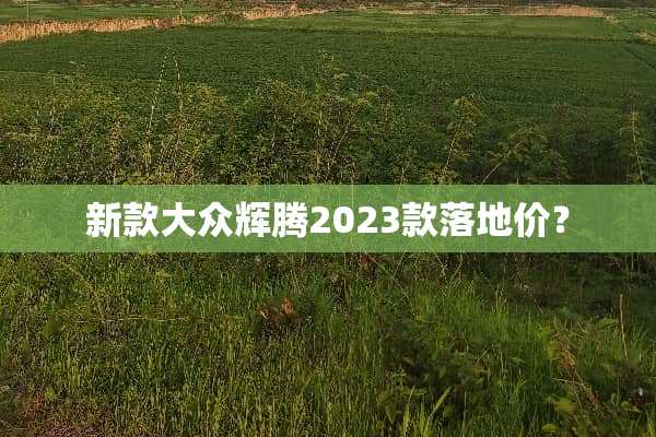 新款大众辉腾2023款落地价？