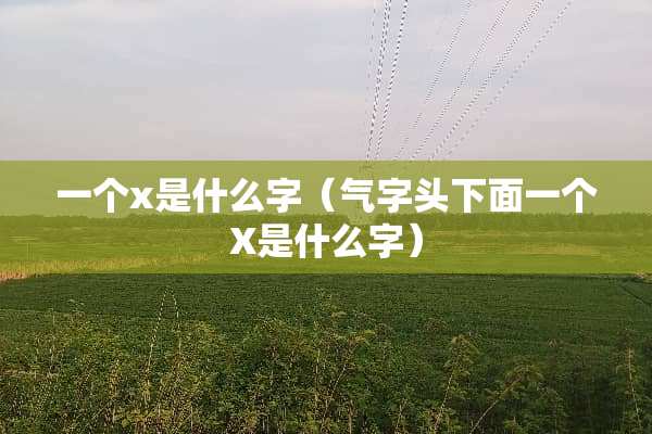一个x是什么字（气字头下面一个X是什么字）