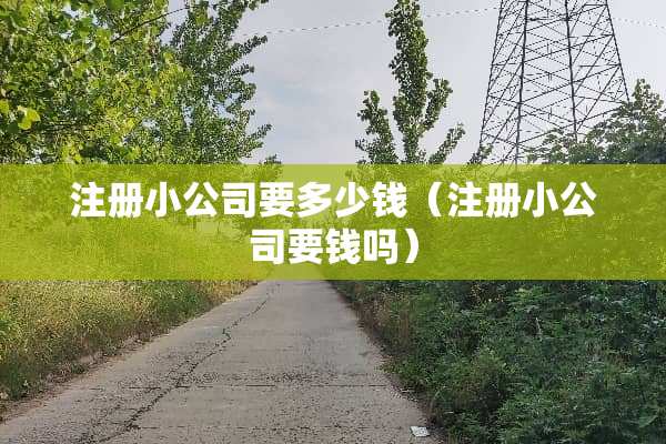 注册小公司要多少钱（注册小公司要钱吗）