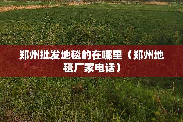 郑州批发地毯的在哪里（郑州地毯厂家电话）
