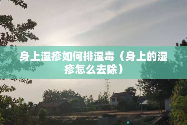 身上湿疹如何排湿毒（身上的湿疹怎么去除）